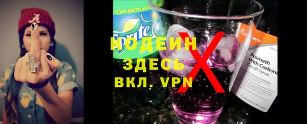 твердый Зеленодольск