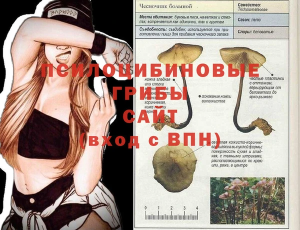 мяу мяу мука Зерноград