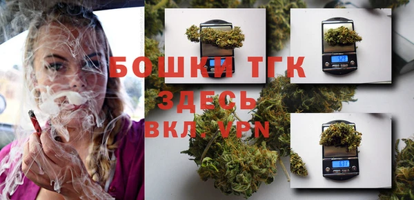 амф Инсар
