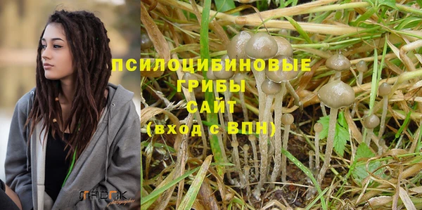 твердый Зеленодольск