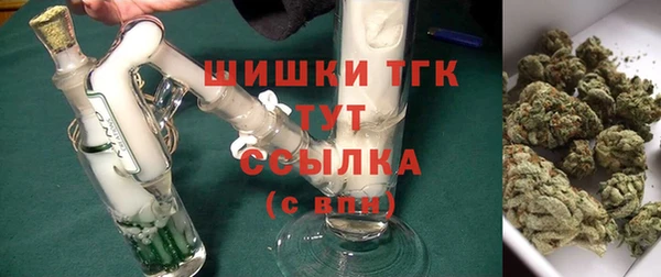 амф Инсар